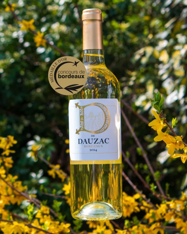 🥇 MÉDAILLE D’OR POUR LE D DE DAUZAC BLANC 2024 ! 🥂

D de Dauzac blanc 2024 vient de remporter la médaille d’or au Concours Agricole de Bordeaux !
Une belle reconnaissance pour ce vin élégant, fruité et d’une grande fraîcheur, né de notre exigence en matière de sélection et d’assemblage.

Merci à tous ceux qui participent chaque jour à cette belle aventure. 🍇✨

GOLD MEDAL FOR D DE DAUZAC WHITE 2024! 🥂

D de Dauzac White 2024 has just been awarded a Gold Medal at the Concours Agricole de Bordeaux!
A wonderful recognition for this elegant, fruity wine of great freshness, the result of our exacting selection and blending standards.

Thank you to all those who contribute to this wonderful adventure every day 🍇✨

#MédailleDor #ConcoursBordeaux #VinBlanc #DDauzac #BordeauxBlanc #VinÉlégant #VinFrançais #GoldMedal #AwardWinningWine #WhiteWine
#DDeDauzac #ElegantWine #FreshAndFruity #FrenchWine