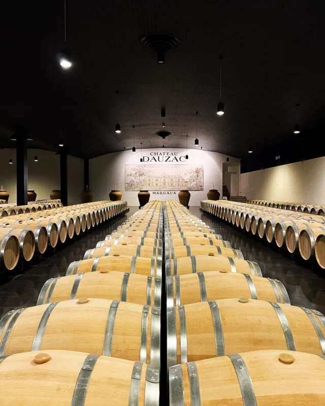 Au cœur du chai à barriques du Château Dauzac, le temps et le bois œuvrent avec précision. Chaque barrique sélectionnée avec soin accompagne l’élevage de nos vins, révélant leur finesse, leur structure et leur potentiel de garde.

Le millésime 2024 poursuit lentement sa transformation.

-----

At the heart of Château Dauzac’s barrel cellar, time and oak work in harmony. Each carefully selected barrel guides the ageing of our wines, revealing their elegance, structure, and cellaring potential.

The 2024 vintage continues its slow transformation. 

#ChâteauDauzac #VinDeGarde #Millésime2024 #GrandVin #ÉlevageEnBarrique #ChaiÀBarriques #VinRouge #ArtDuVin #VignobleBordelais #CellaringPotential #OakAndTime #FrenchWine #LuxuryWine #WinemakingArt #SlowTransformation