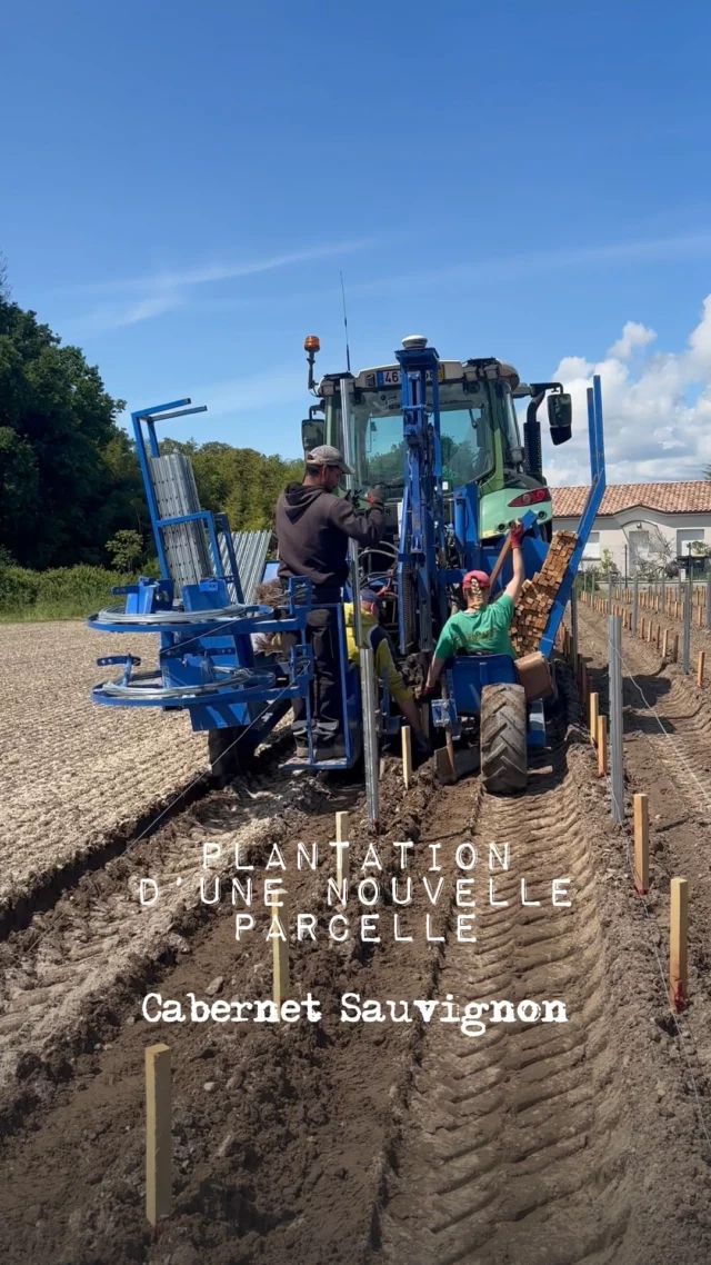 Aujourd’hui marque une nouvelle étape dans l’histoire de notre vignoble : nous venons de planter une toute nouvelle parcelle « Bourgade », 100% en Cabernet Sauvignon.
La préparation de la parcelle a été rigoureuse : travail du sol, analyse agronomique, choix de porte-greffe adapté aux conditions hydriques… 
Chaque détail a été pensé pour favoriser une implantation optimale et durable.

 - -

Today marks a new milestone in the history of our vineyard. We just planted a new plot called « Bourgade », 100% Cabernet Sauvignon.
The plot has been meticulously prepared. We considered every detail, from soil work and agronomic analysis to the selection of rootstocks suited to the water conditions, to ensure optimal and long-lasting implantation.

#ChateauDauzac #Margaux #GrandCruClasse #VinBordeaux #WineLovers
#Winestagram #InstaWine #ReelWine #FrenchWine #WineTime