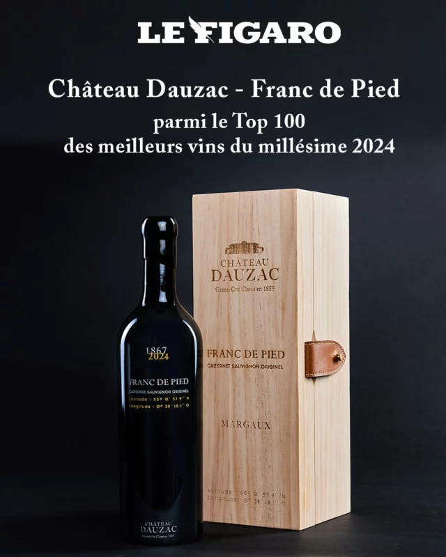C’est avec une immense fierté que nous annonçons que notre cuvée Franc de Pied 2024 a été distinguée parmi les 100 meilleurs vins de 2024 par Le Figaro Vin, avec une note remarquable de 93-95/100. 🍇🍷

Issue de vignes non greffées, cette cuvée rare et précieuse incarne l’authenticité originelle du cépage Cabernet Sauvignon. Une expression pure du terroir, élevée avec passion et exigence au cœur du Château Dauzac.

Cette distinction prestigieuse souligne la singularité et l’excellence de Franc de Pied 2024, reflet de notre quête d’absolu et de notre engagement pour un vin d’exception. 🍷

« Une infinie délicatesse se dégage des premiers effluves, entre sensation solaire et finesse des arômes floraux, saupoudrés d'épices douces. En bouche, on croirait la suavité du pinot noir, frais, fruité et épicé souligné par une texture de tanins soyeuse. Superbe ! par Ella Lister et  Béatrice Delamotte

—-

We are immensely proud to announce that our Cuvée Franc de Pied 2024 is along the Top 100 best wines of 2024 by Le Figaro Vin, earning an impressive score of 93-95/100. 🍇🍷

Produced from ungrafted vines, this precious cuvée embodies the authentic essence of the Cabernet Sauvignon variety. It is a pure expression of terroir, matured with passion and highly demanding standards at the heart of Château Dauzac.

This prestigious distinction highlights the uniqueness and excellence of Franc de Pied 2024, reflecting our pursuit of perfection and dedication to exceptional winemaking. 🍷✨

"An infinite delicacy emerges from the first scents, with the finesse of floral aromas sprinkled with sweet spices. On the palate, it is as smooth as Pinot Noir, fresh , fruity, and spicy, with a silky texture of tannins. Superb!" by Ella Lister and  Béatrice Delamotte

#FrancDePied #ChâteauDauzac
#VinDexcellence #CabernetSauvignon
#VinDeTerroir #VignesNonGreffées #Top100Vins
#LeFigaroVin #VinFrançais #GrandsVins #VinRare #VinsDeBordeaux